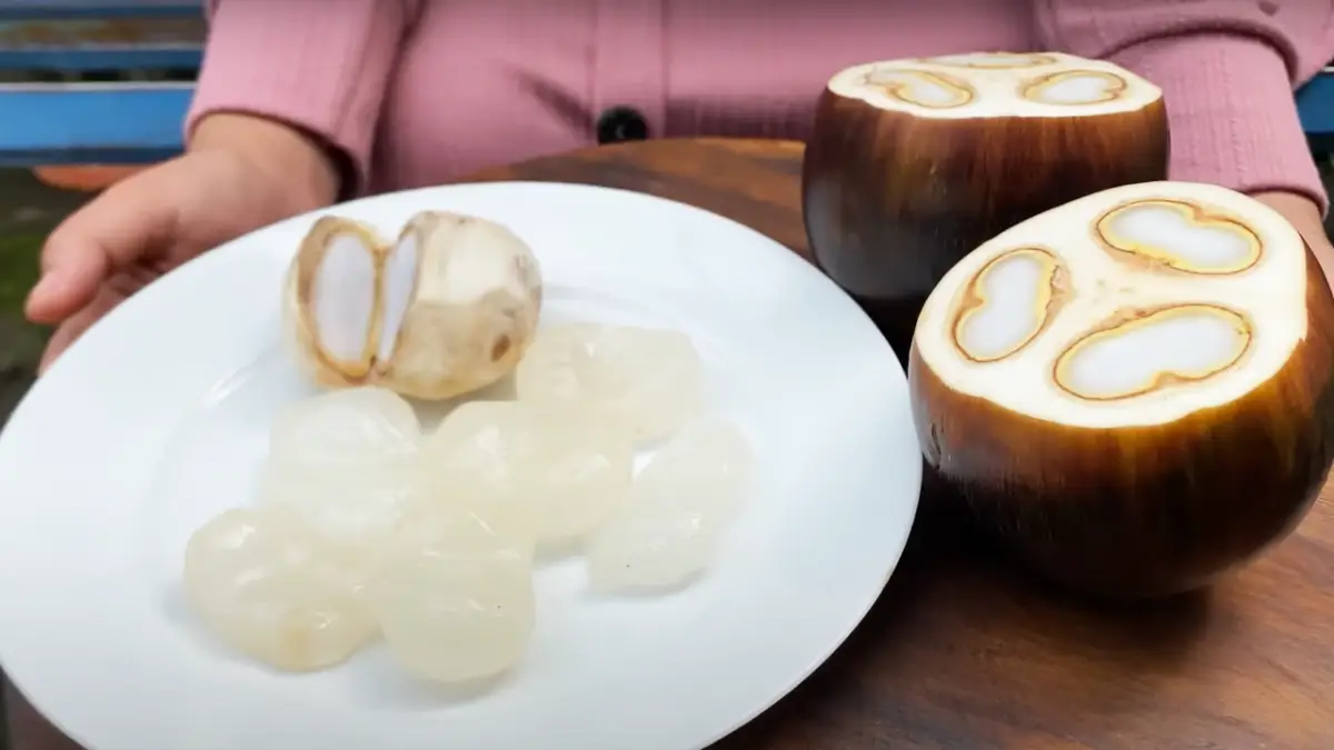 Mengungkap Manfaat Kesehatan Buah Lontar yang Jarang Diketahui